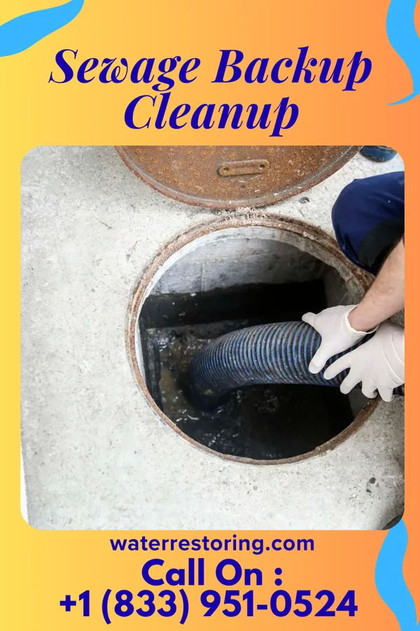 Sewage Backup Cleanup in Anderson, SC